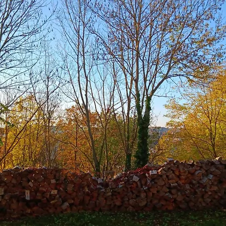 Meisterhaus 2 Glauchau