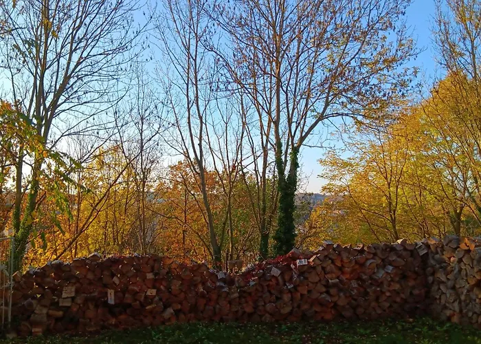 Meisterhaus 2 Glauchau